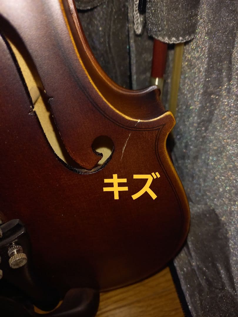 hallstatt ハルシュタット入門用バイオリンセット