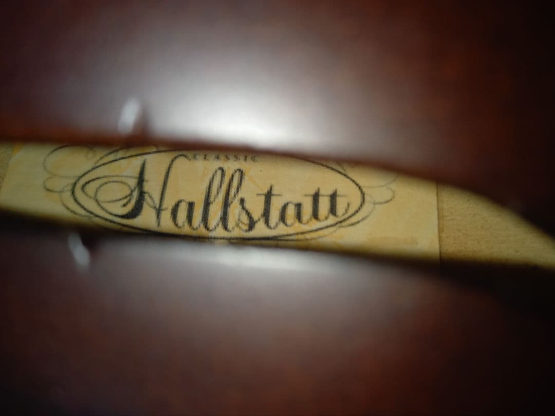 hallstatt ハルシュタット入門用バイオリンセット