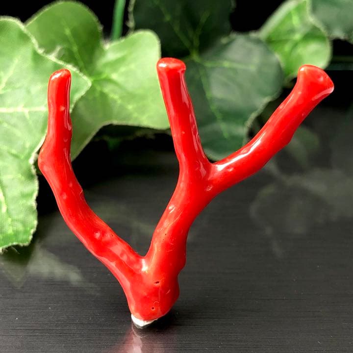 地中海産 天然赤珊瑚（赤さんご,レッドコーラル）原木 N342