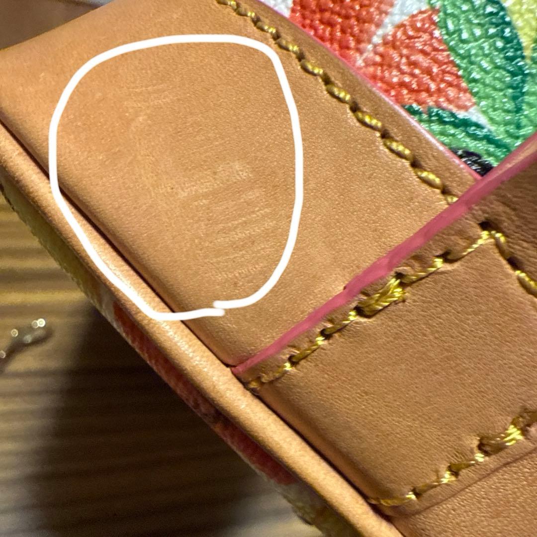 Dooney＆Bourke Disney AULANI ミニーマウス