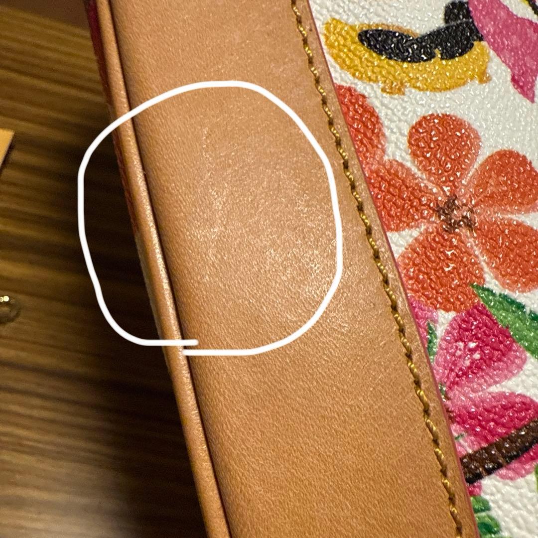 Dooney＆Bourke Disney AULANI ミニーマウス