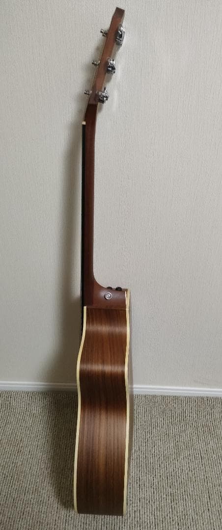 Taylor 214ce エレアコ アコースティックギター 純正ケース付き