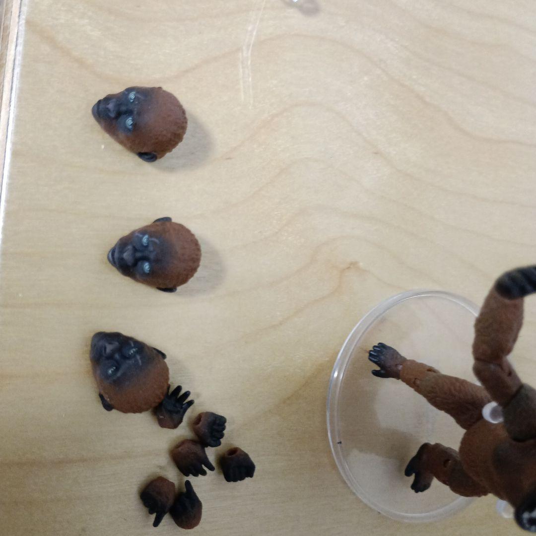 S.H.MonsterArts ゴジラxコング 新たなる帝国 スーコ モスラ