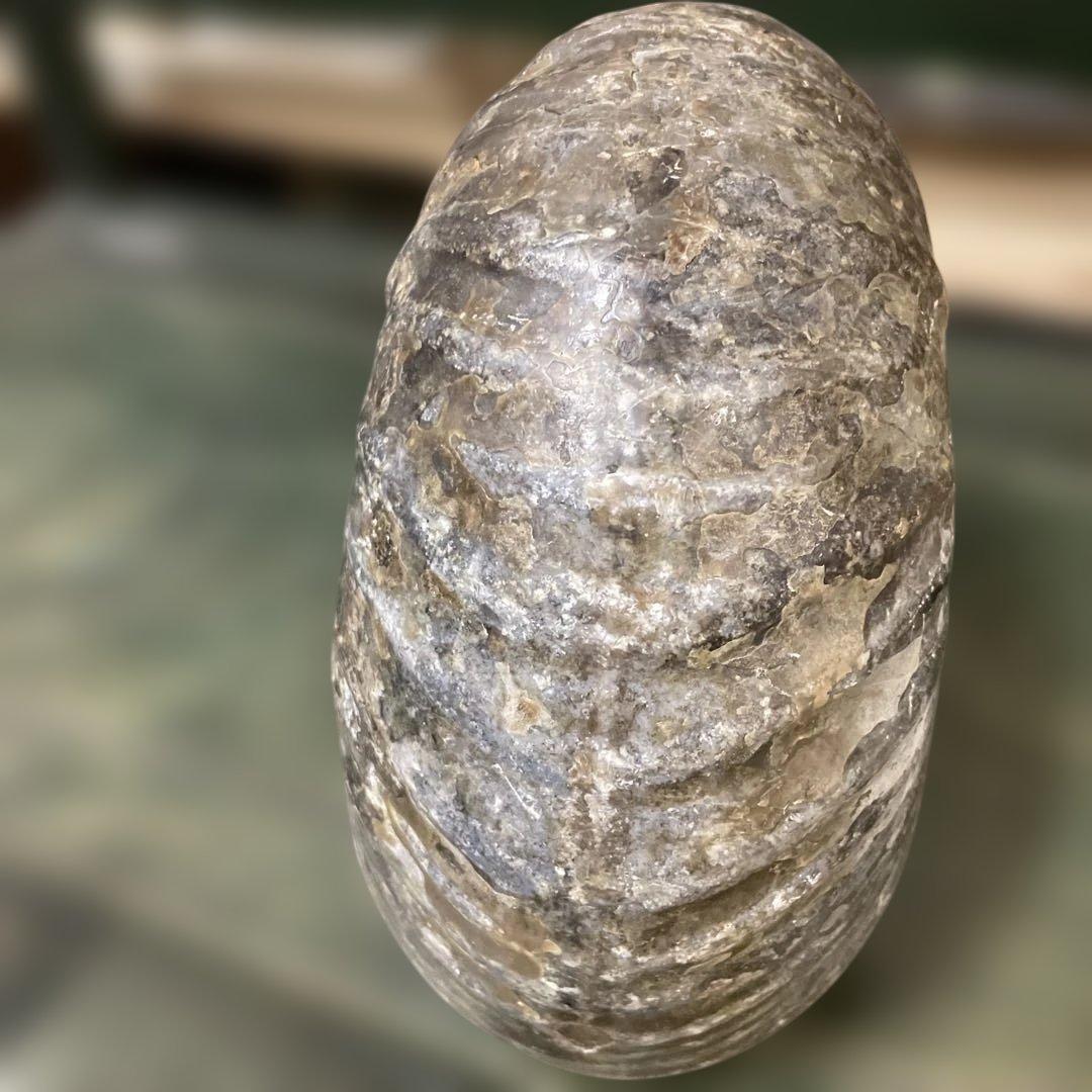 アンモナイト化石 約5.8キロ　北海道産　コレクション　美術品