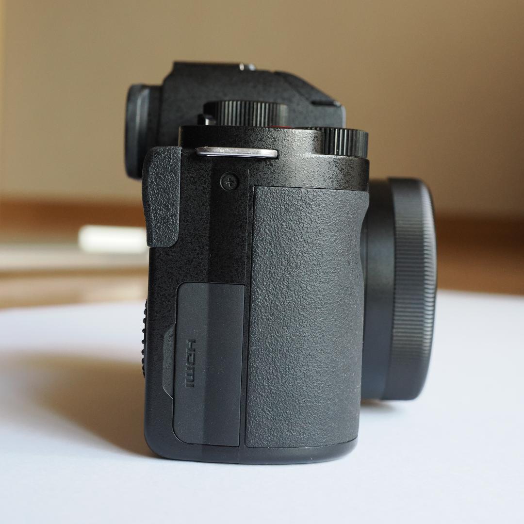 LUMIX DC-G100DK レンズキット