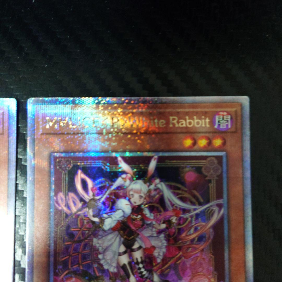 Ｍ∀ＬＩＣＥ＜Ｐ＞Ｗｈｉｔｅ Ｒａｂｂｉｔ　3枚QCSE