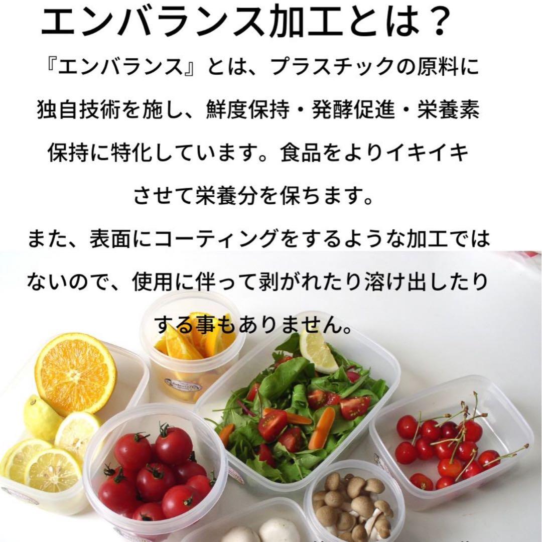 【ほぼ未使用】エンバランスクリアタッパーとレクタングルザル付きセット