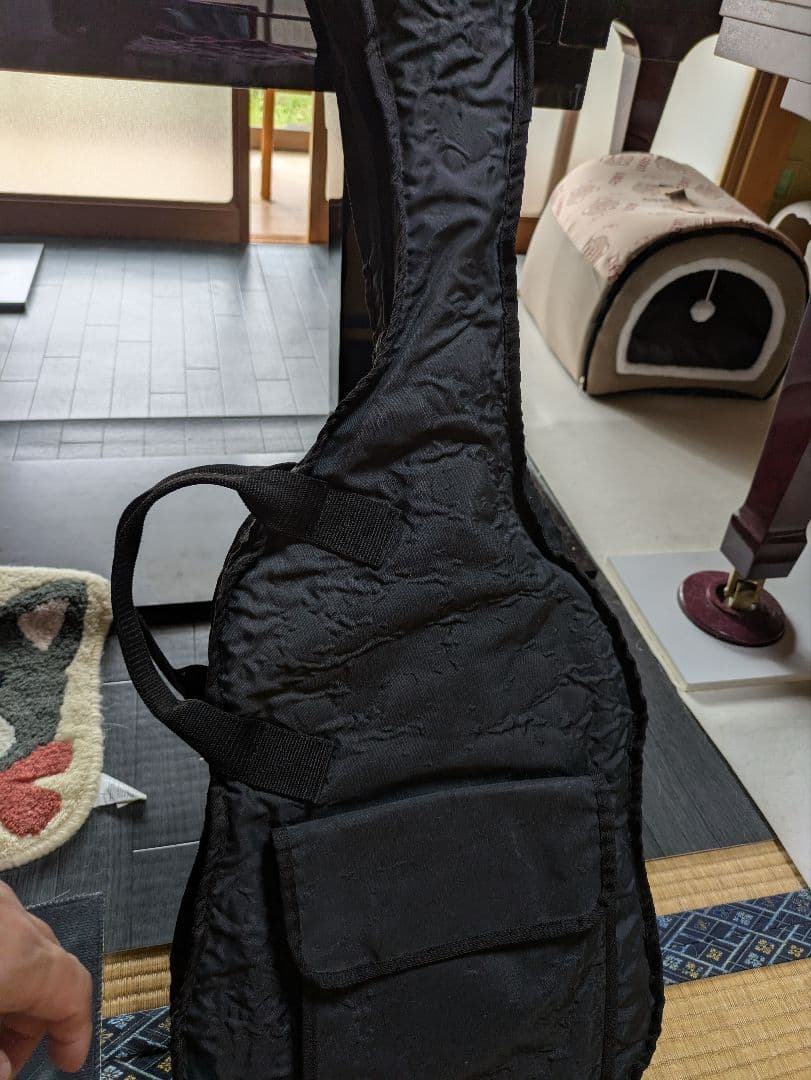 Mavis 　メイビス　シャンパンゴールド　 エレキギター