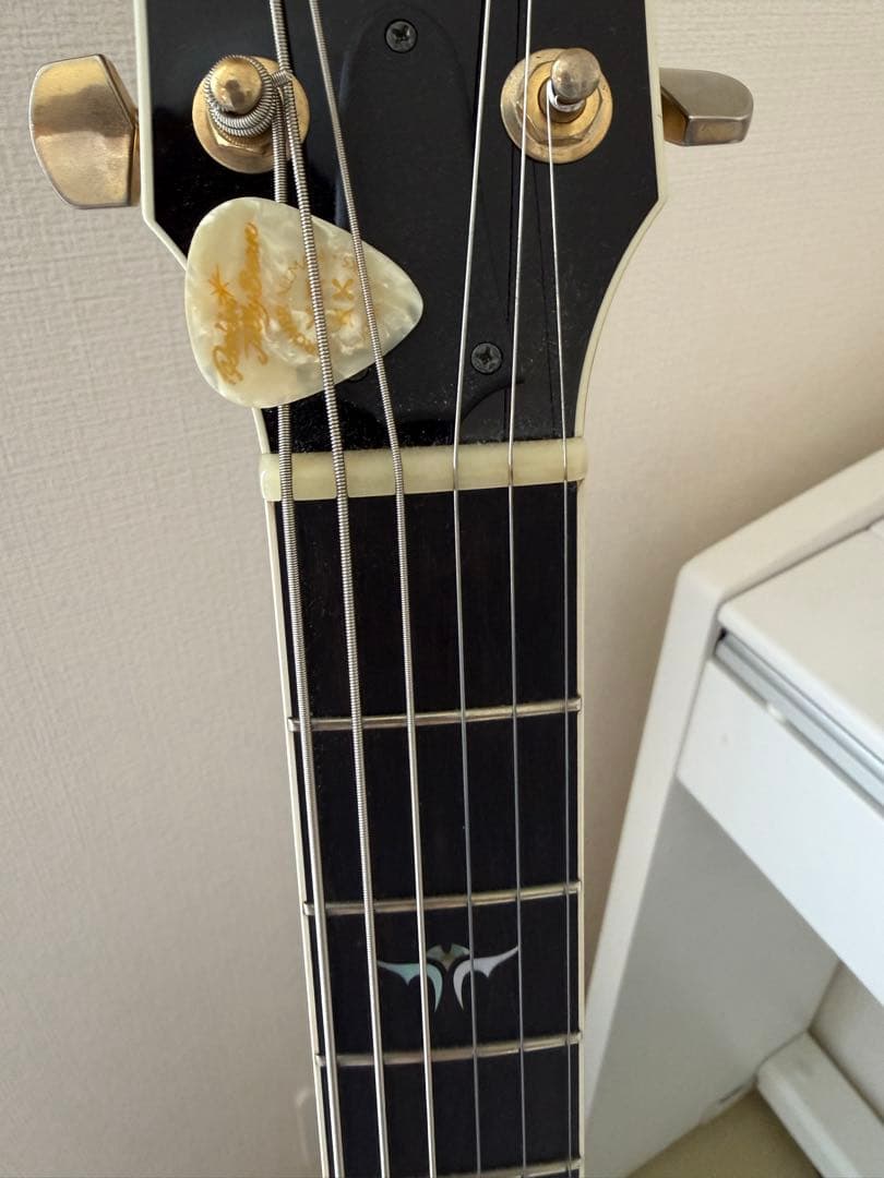 ギター taylor t5 C1