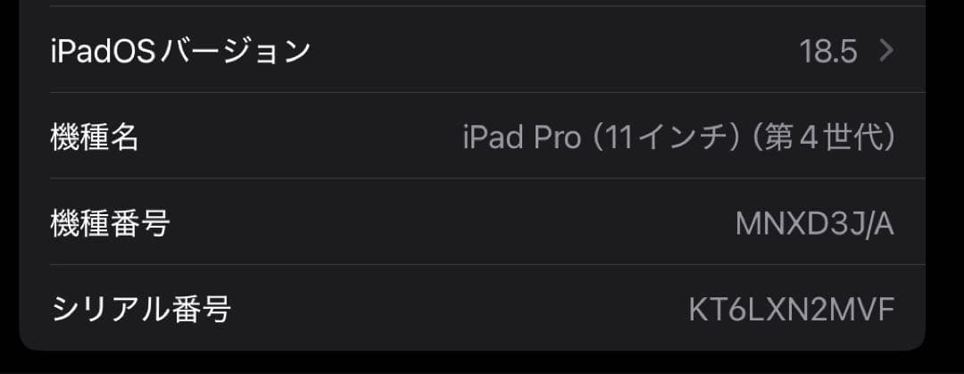 iPad Pro 11インチ 第4世代 128GB Wi-Fi