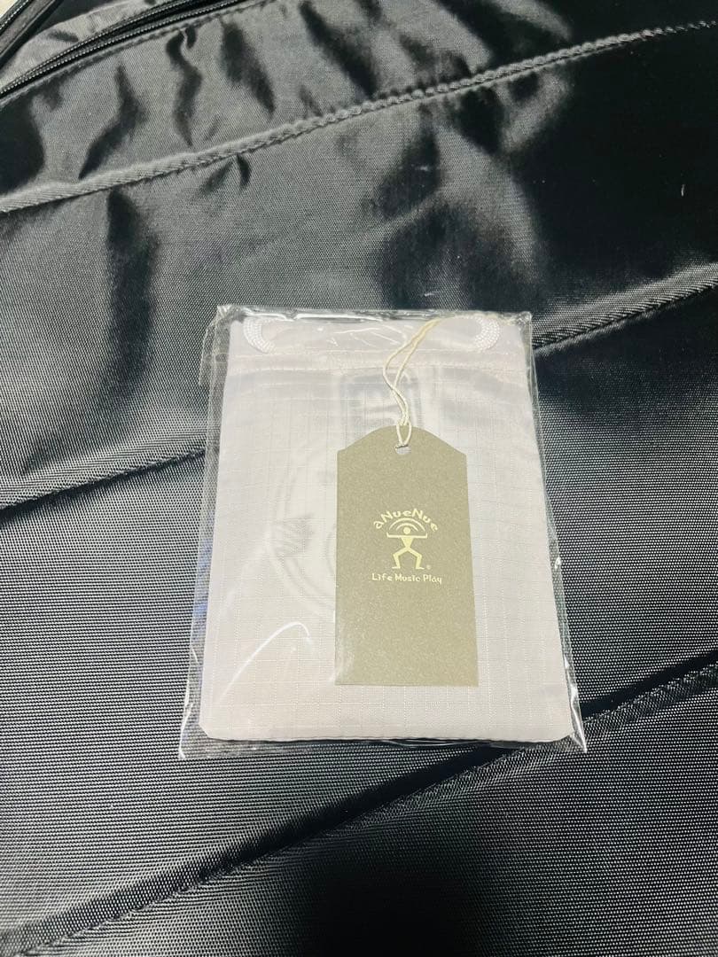 aNueNue aNN-LF23E フルサイズ・センターホールギター(PU付)