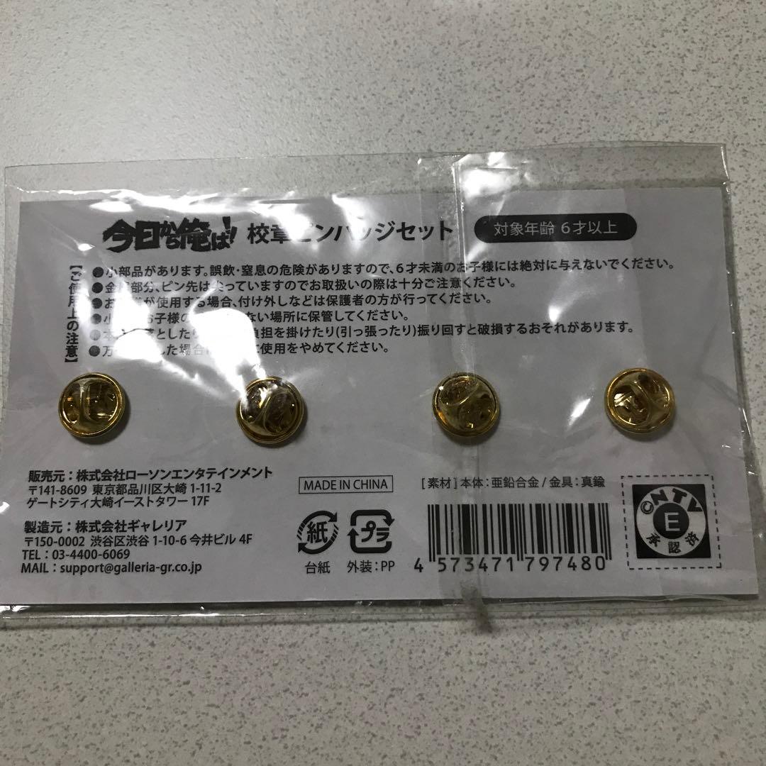 今日から俺は！！校章ピンバッジセット