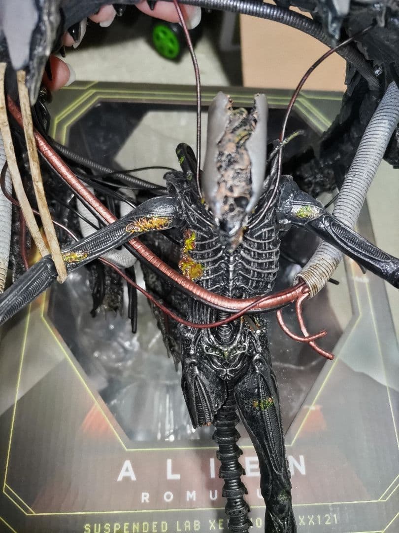 NECA ネカ　サスペンデッドラボ　ゼノモーフ　エイリアン