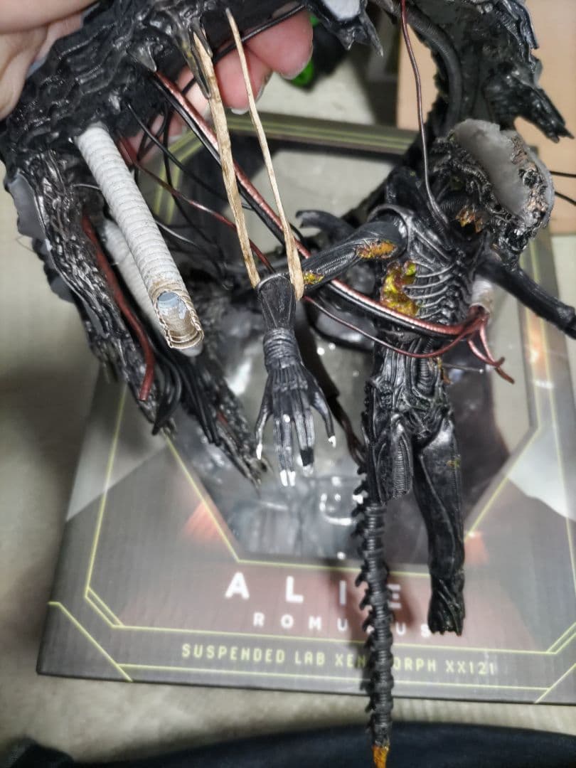 NECA ネカ　サスペンデッドラボ　ゼノモーフ　エイリアン