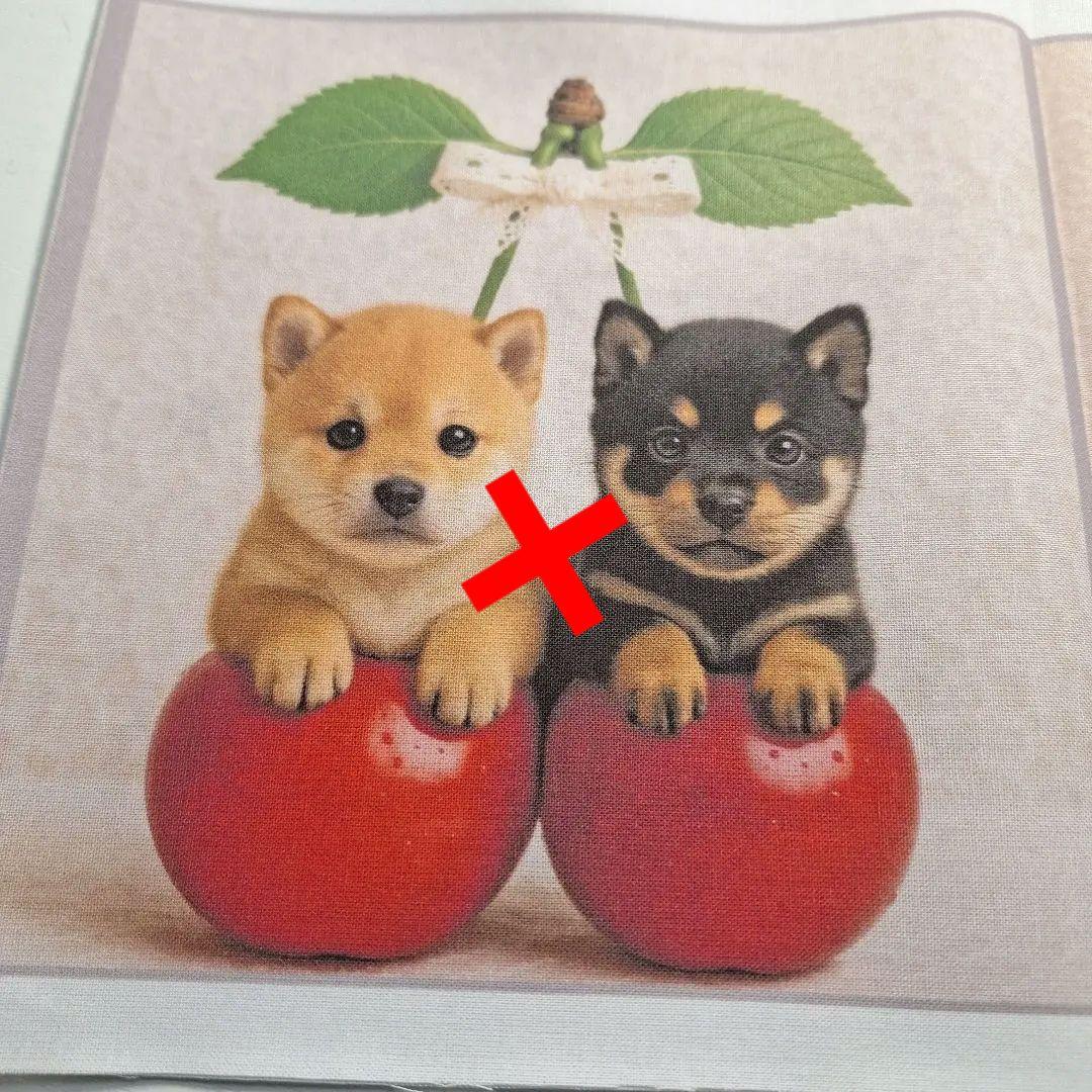 激レアパグ、ヨーキー、柴犬、チワワ、マルチーズ、トイプーパネル生地　ハンドメイド