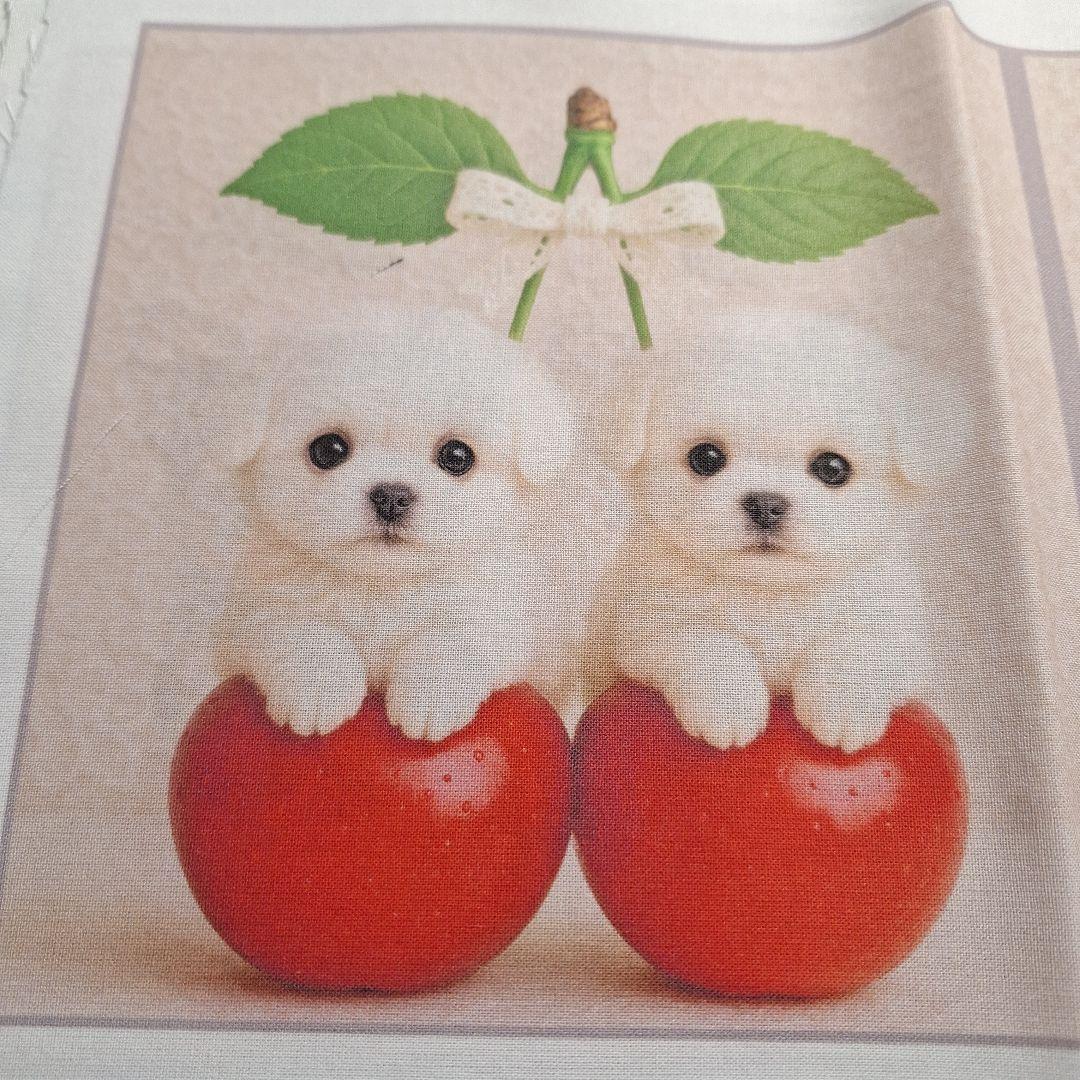 激レアパグ、ヨーキー、柴犬、チワワ、マルチーズ、トイプーパネル生地　ハンドメイド