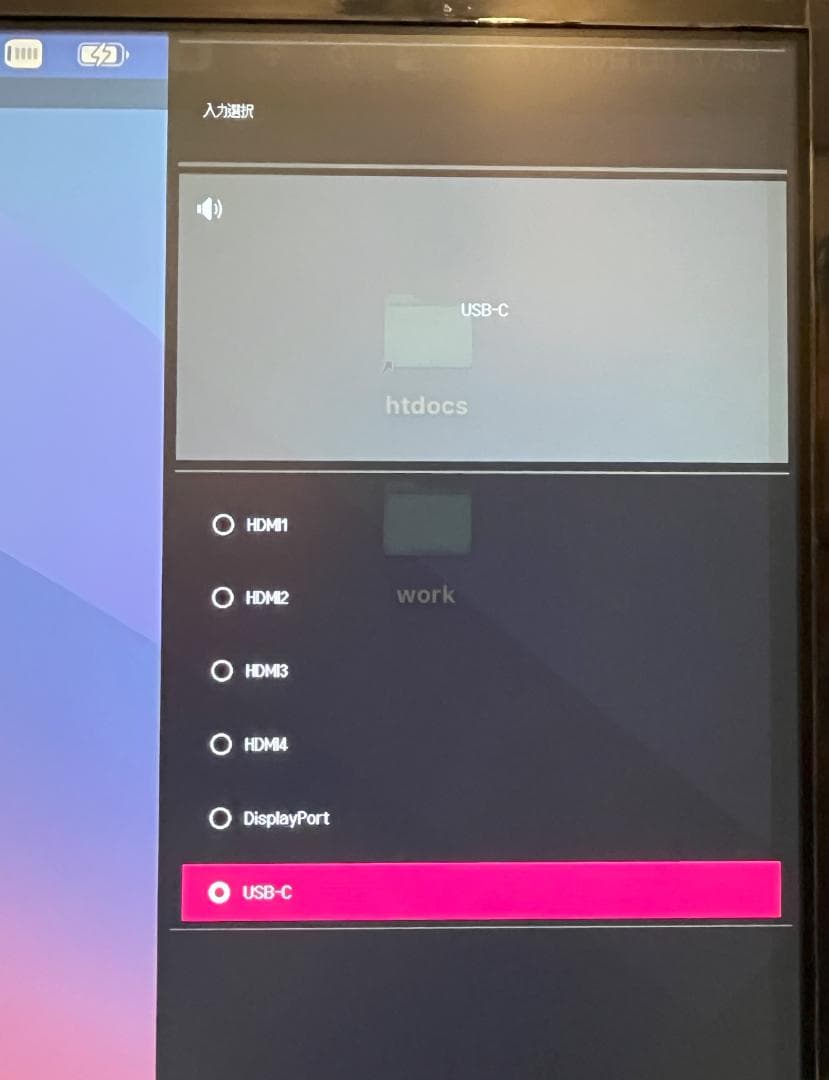 LG 42.5インチ 大画面IPS 4Kモニター / 43UD79-B