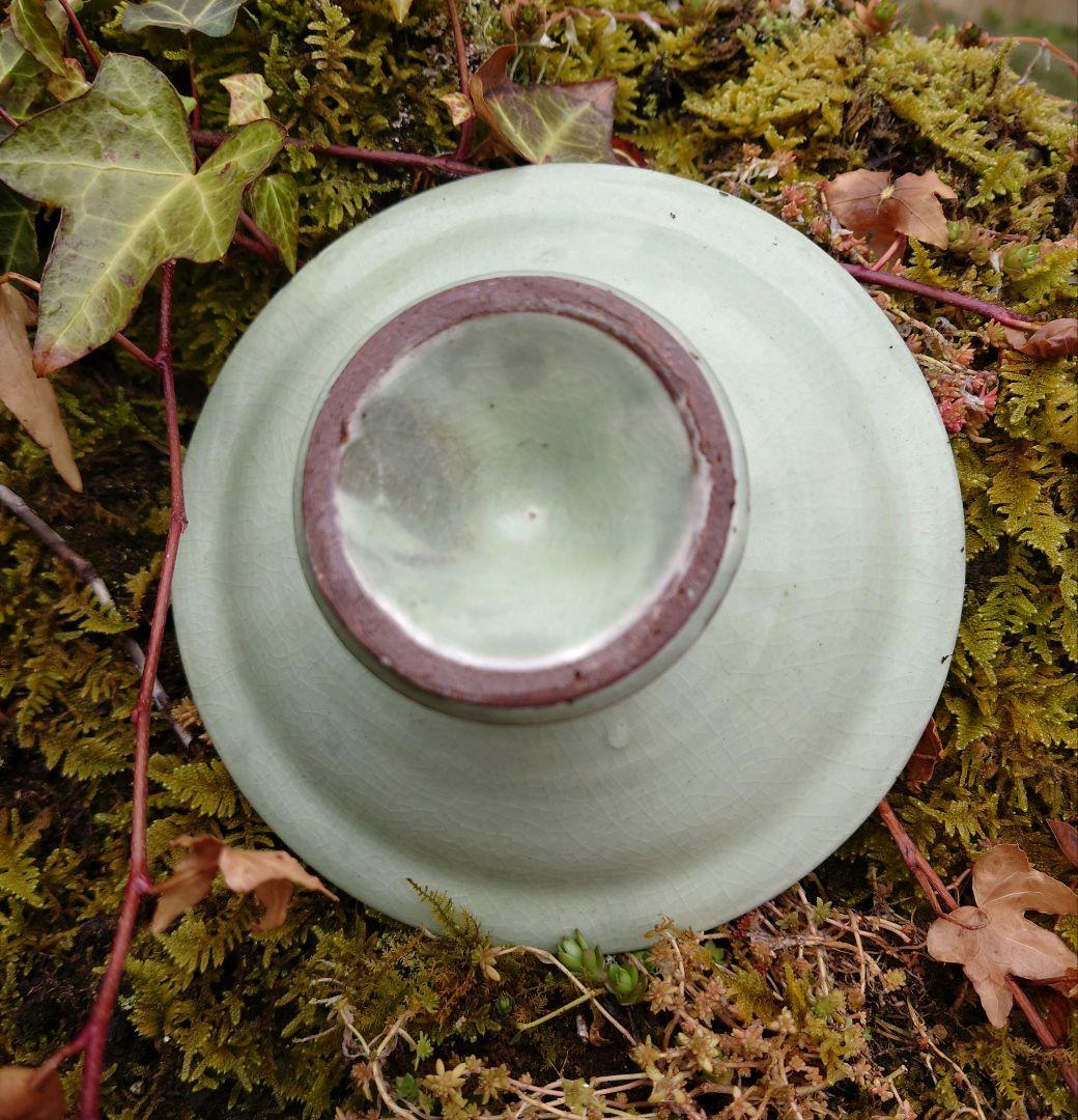 掻落 台付皿 小田志焼（こだじ）規窯 井上規 共箱 花文様 朝鮮古陶　薄柳色