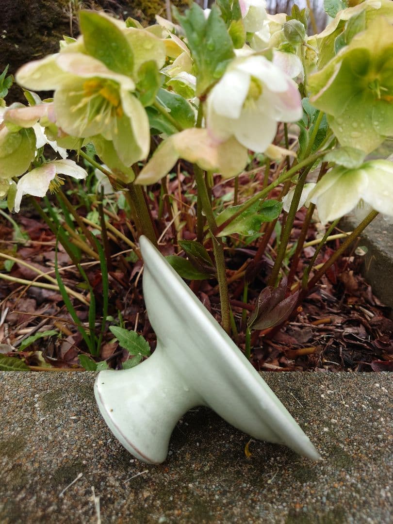 掻落 台付皿 小田志焼（こだじ）規窯 井上規 共箱 花文様 朝鮮古陶　薄柳色