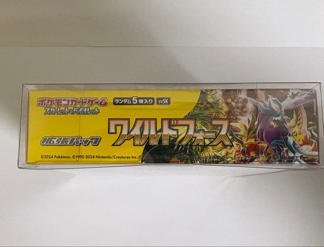 【PSA10】 ルチアのアピールSAR イーブイ AR ワイルドフォース BOX