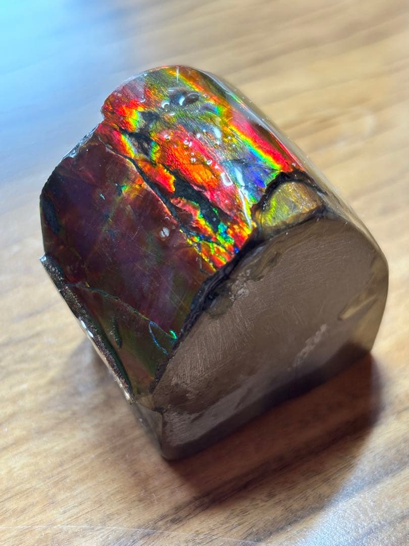 アンモライト カナダ アルバータ産 化石 Ammolite 