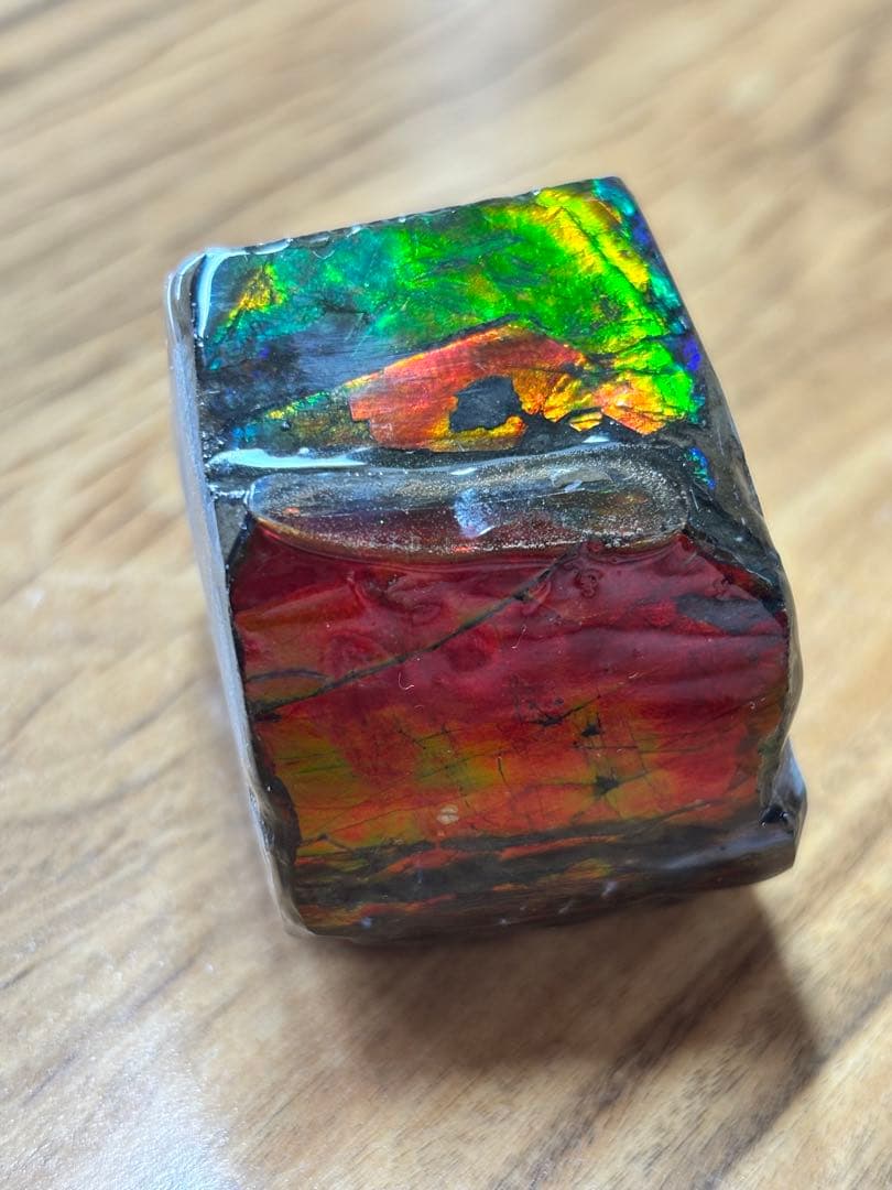 アンモライト カナダ アルバータ産 化石 Ammolite 