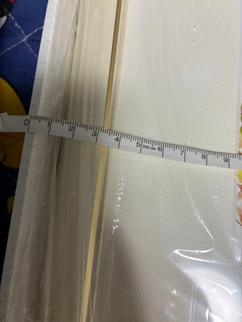 ちはやふる 複製原画 綾瀬千早 若宮詩暢