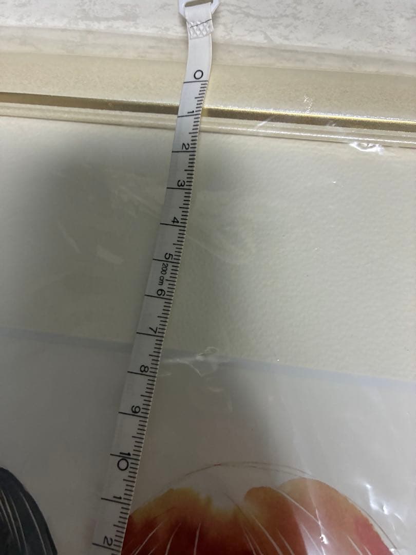 ちはやふる 複製原画 綾瀬千早 若宮詩暢