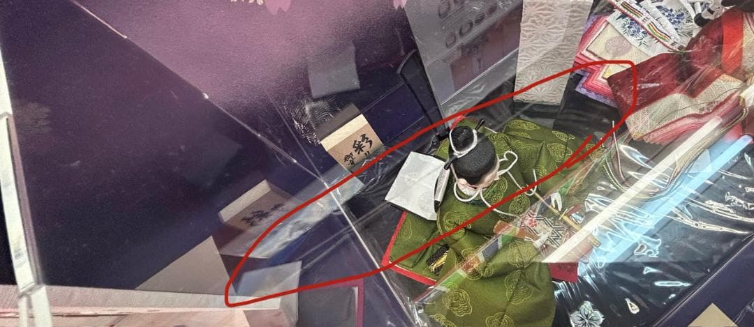 雛人形 飾り道具のみ アクリルカバー 桜／枝付ケースのみ (サンプル展示品)