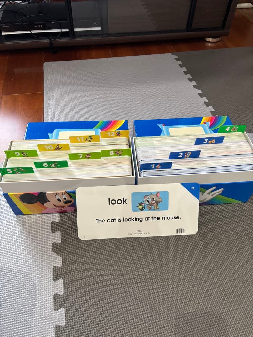 Disney's World of English 英語システム