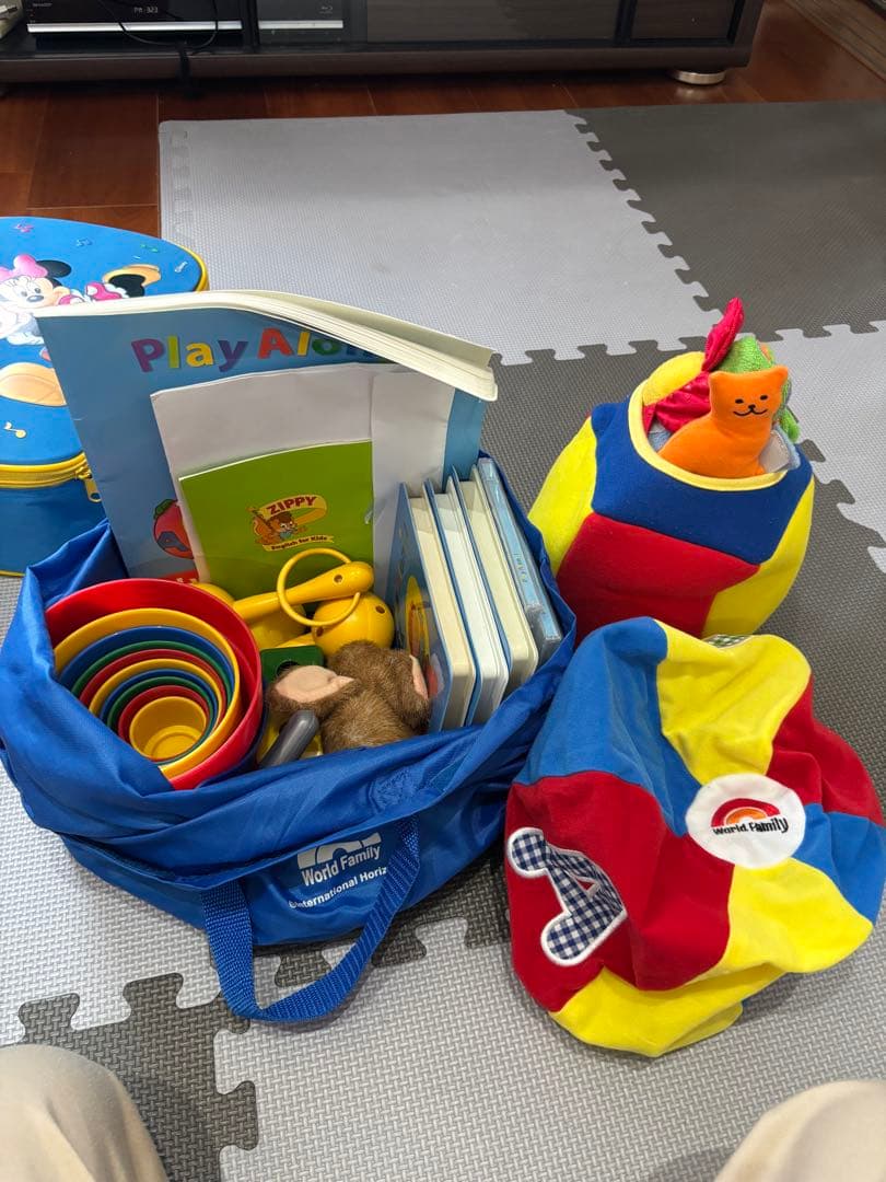 Disney's World of English 英語システム