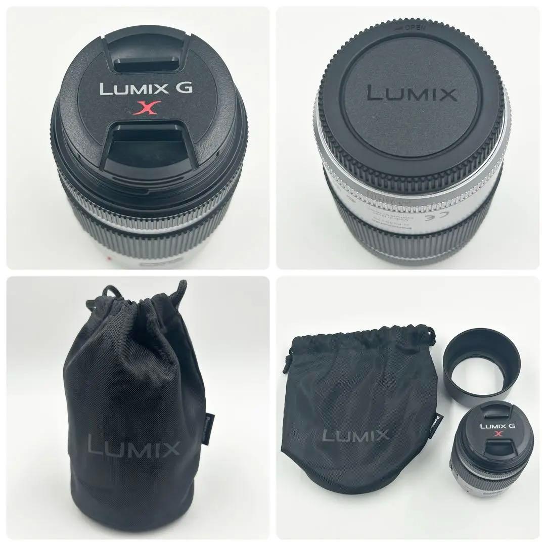 レンズ(ズーム) LUMIX G X VARIO 45-175mm F4.0-5.6 ASPH