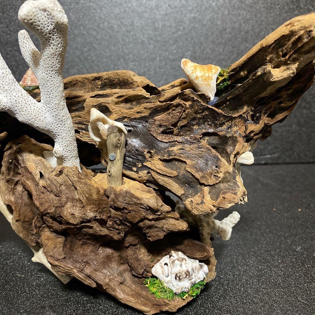 天然流木 オブジェ ⚫︎ 恐竜 アクアリウム インテリア サンゴ 一点もの
