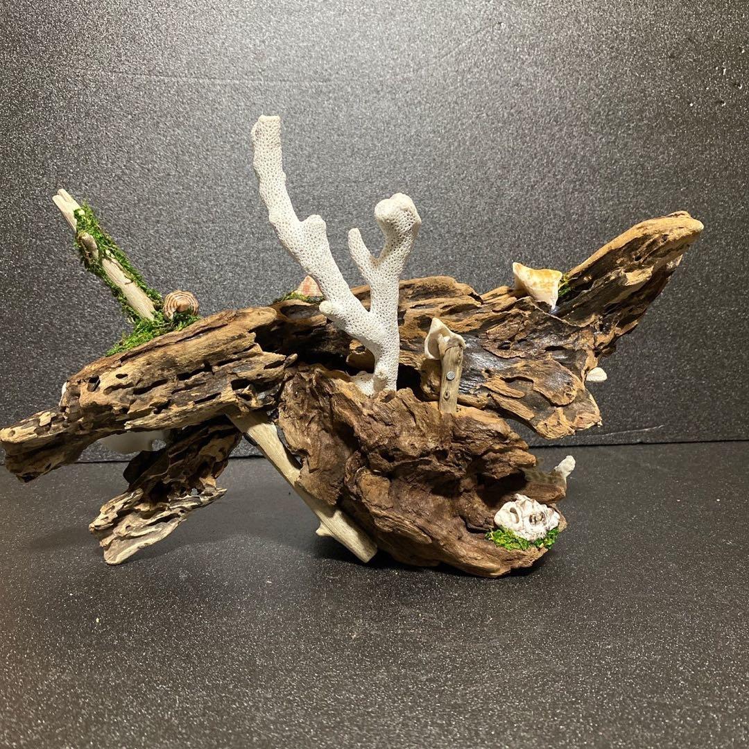 天然流木 オブジェ ⚫︎ 恐竜 アクアリウム インテリア サンゴ 一点もの
