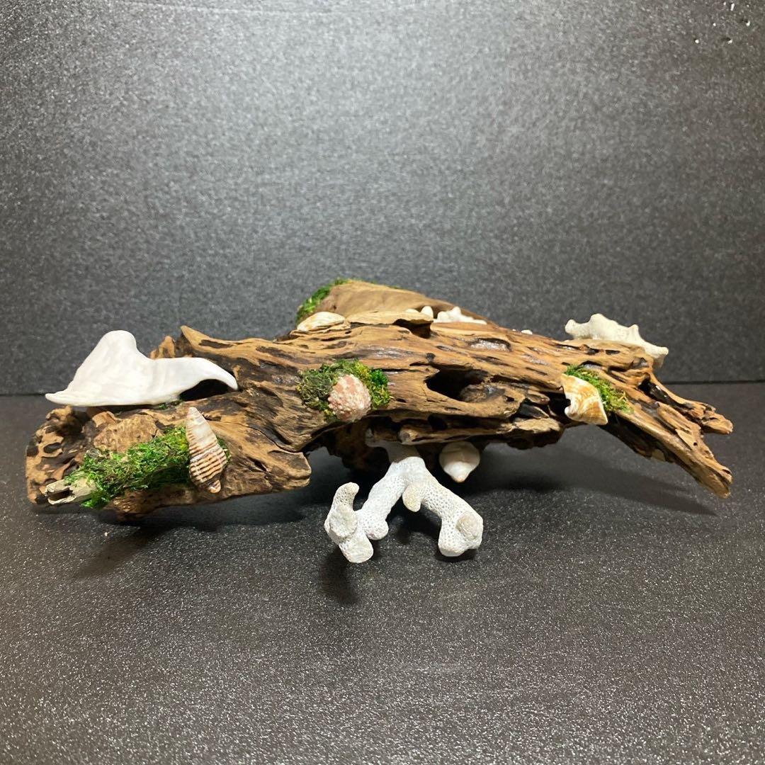 天然流木 オブジェ ⚫︎ 恐竜 アクアリウム インテリア サンゴ 一点もの