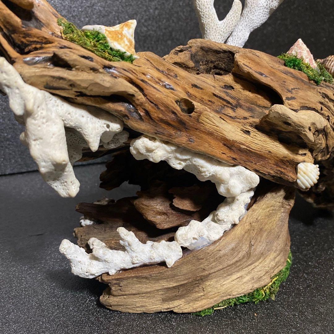 天然流木 オブジェ ⚫︎ 恐竜 アクアリウム インテリア サンゴ 一点もの