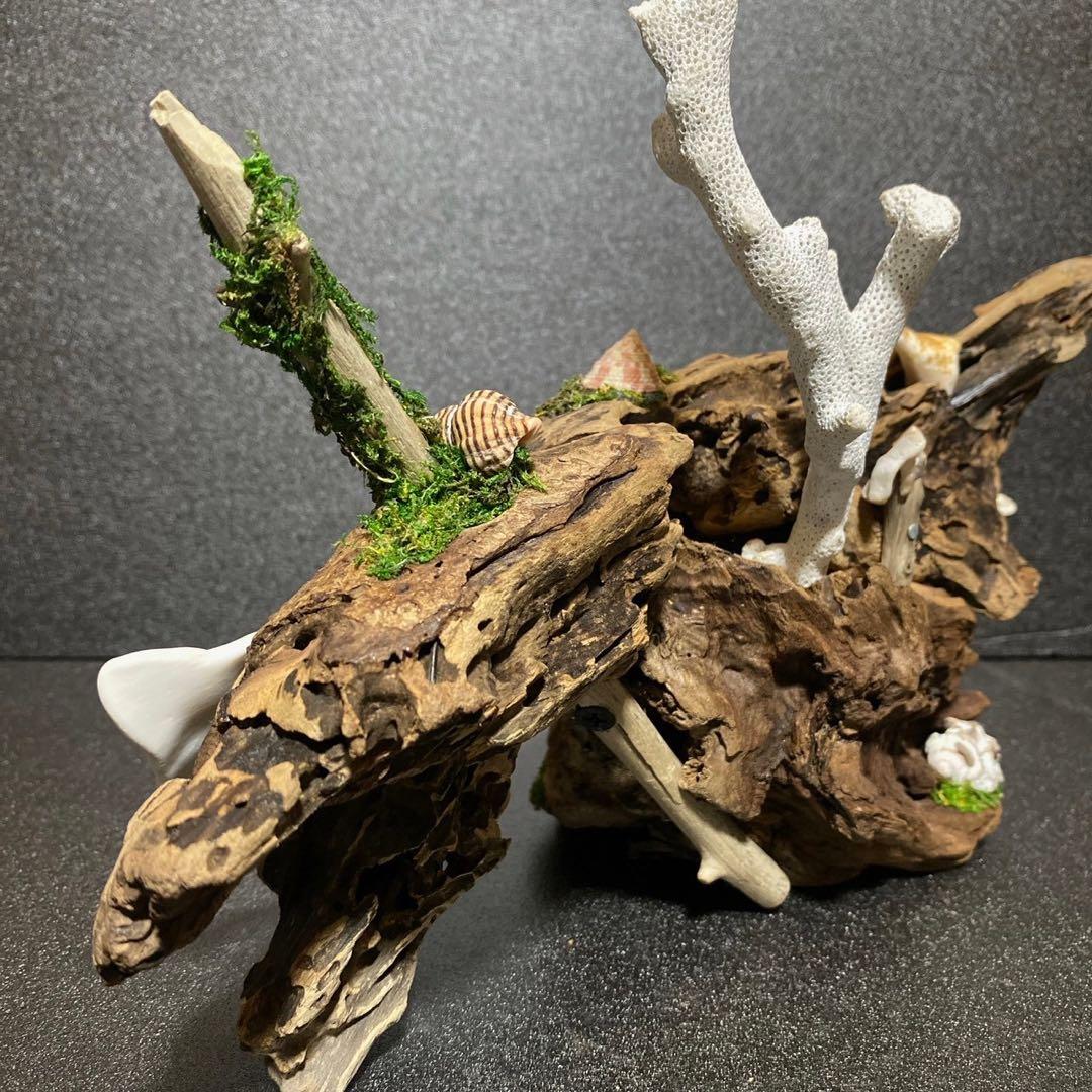 天然流木 オブジェ ⚫︎ 恐竜 アクアリウム インテリア サンゴ 一点もの