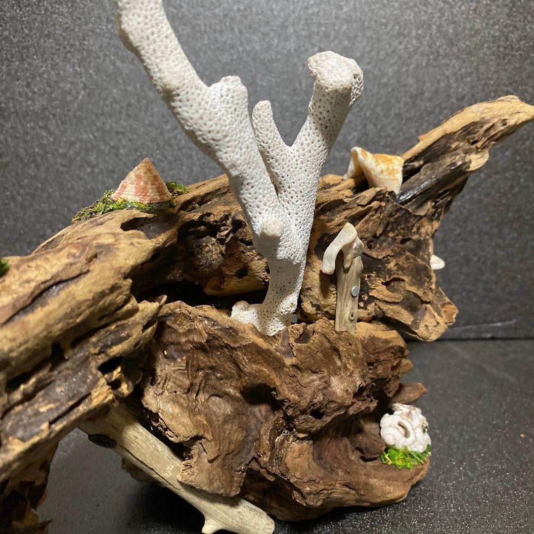 天然流木 オブジェ ⚫︎ 恐竜 アクアリウム インテリア サンゴ 一点もの