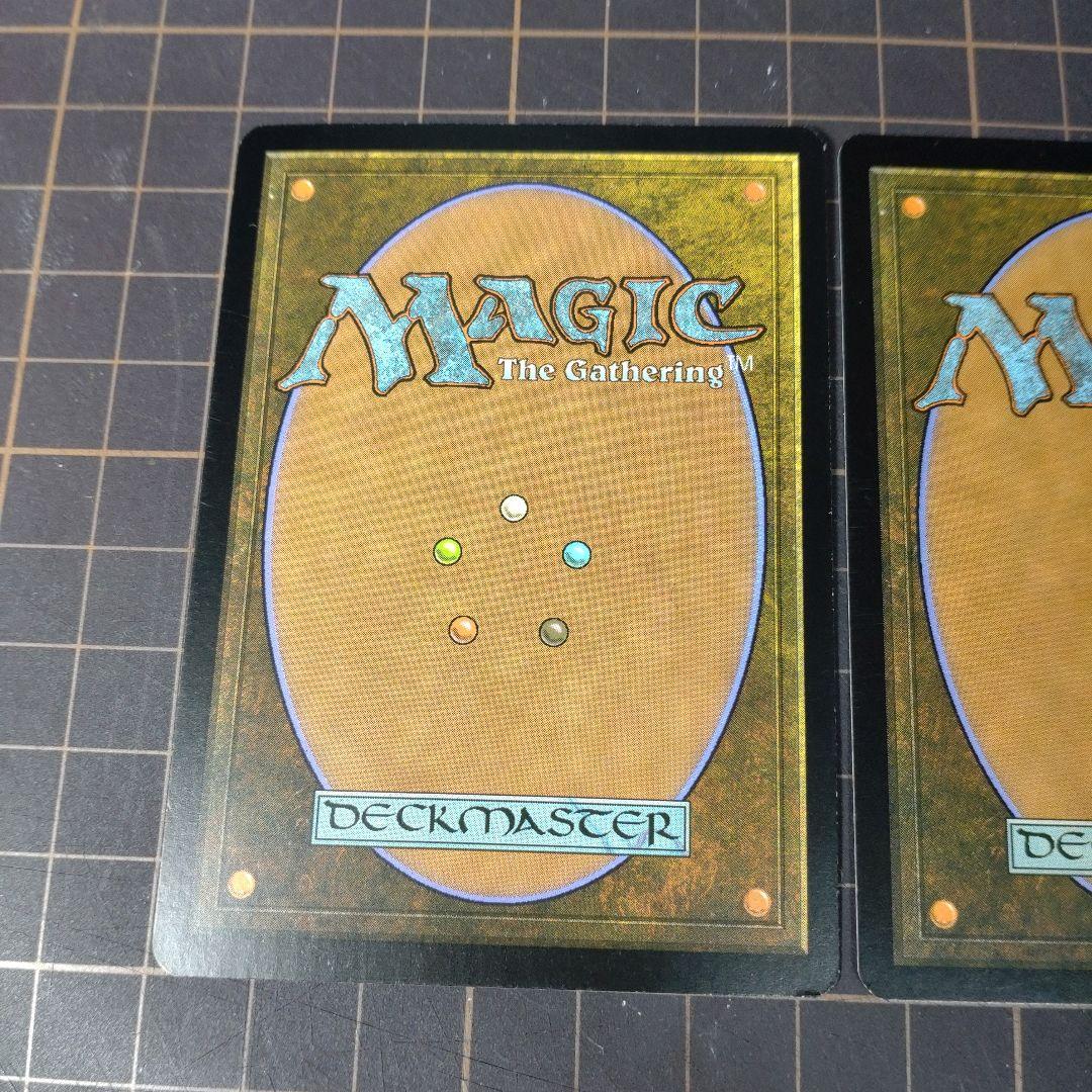 MTG 霧深い雨林 ZEN