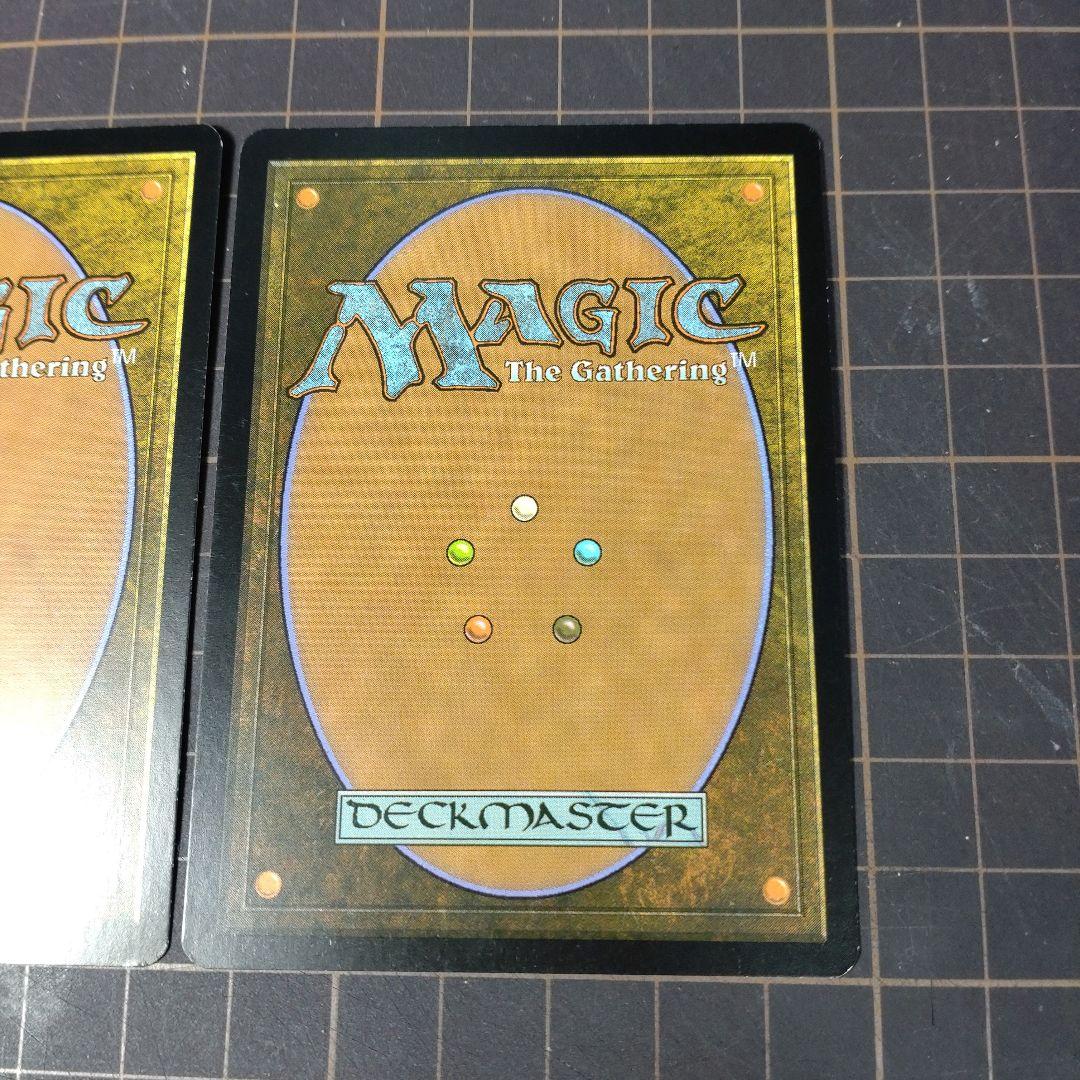 MTG 霧深い雨林 ZEN