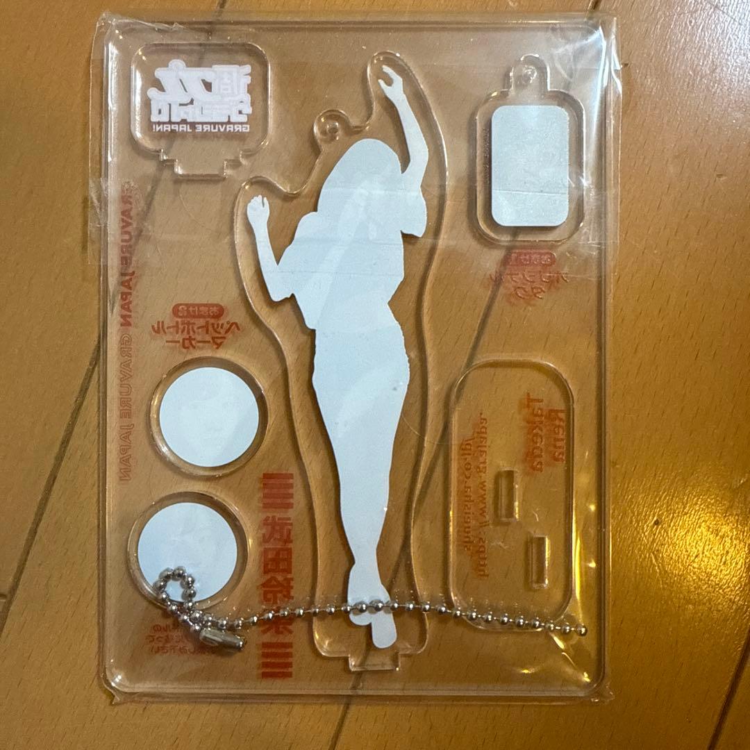 週プレグラジャパ！5周年キャンペーン当選品　武田玲奈　アクスタキーホルダー