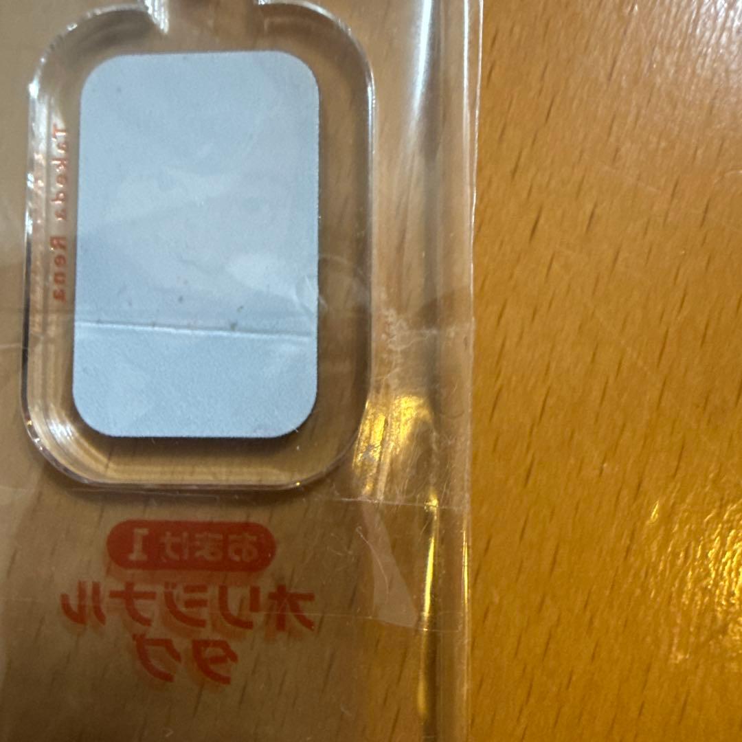 週プレグラジャパ！5周年キャンペーン当選品　武田玲奈　アクスタキーホルダー