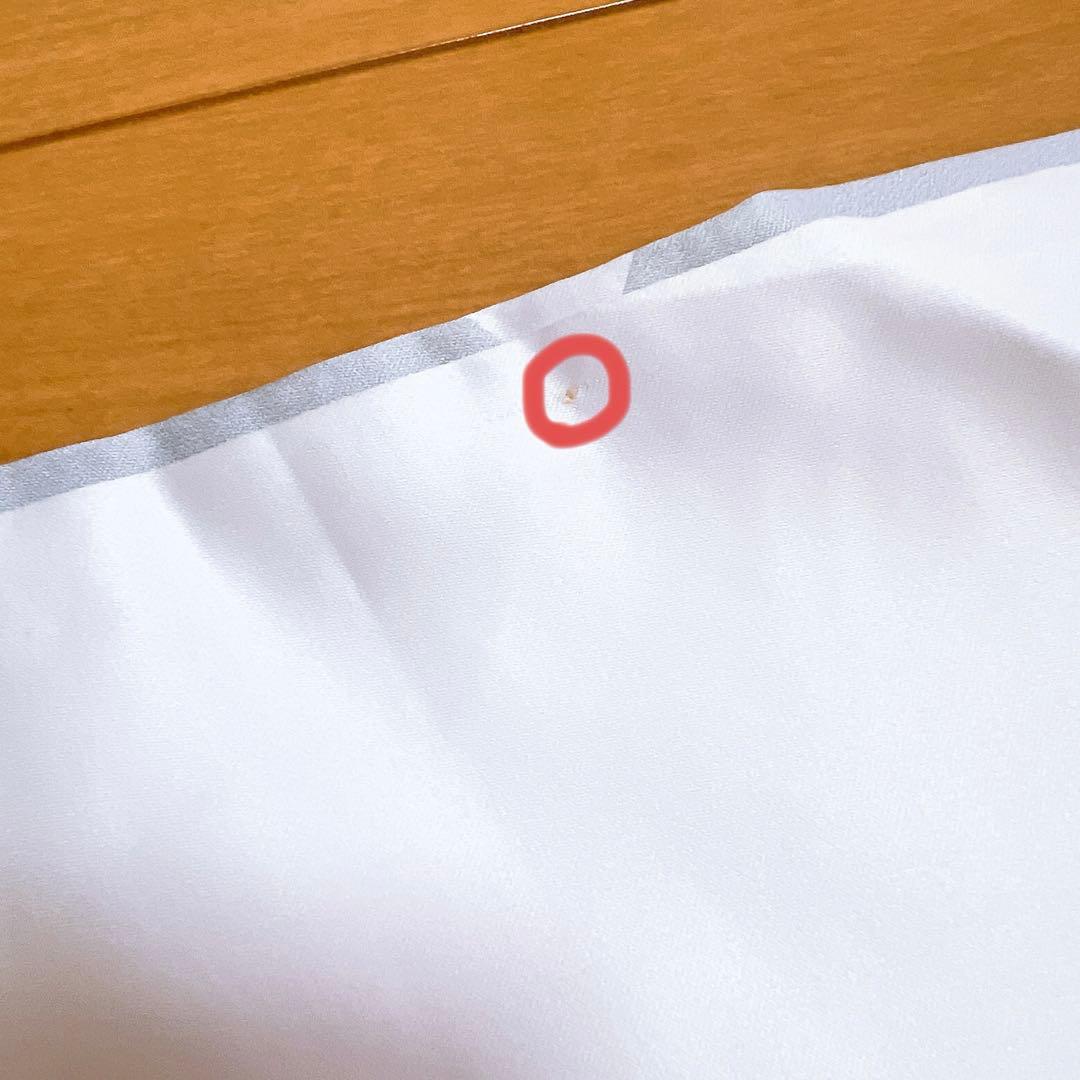 Royz 昴 2020年スバフェス 抱き枕カバー