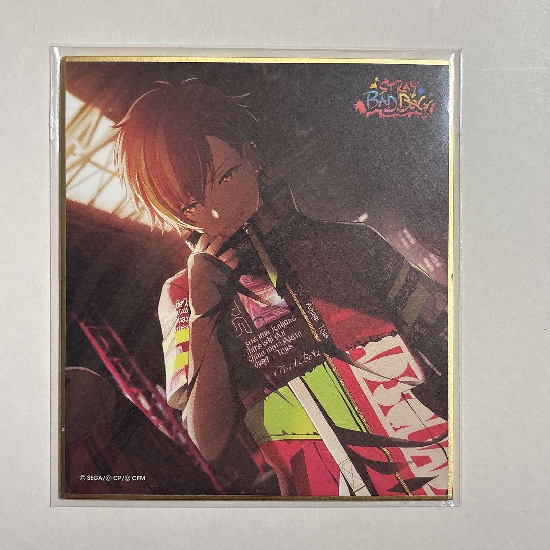 東雲彰人 シネマ セット