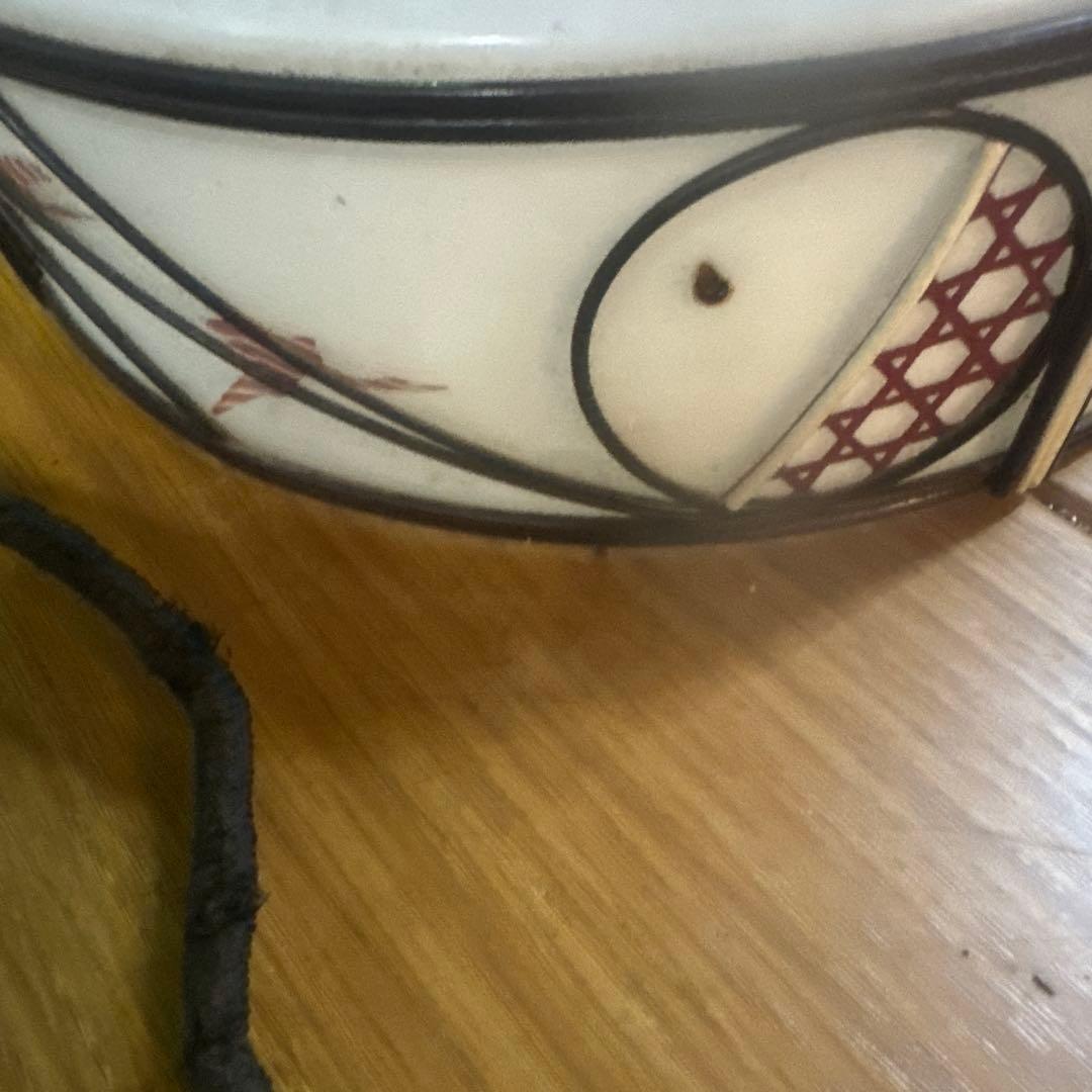 昭和レトロ 吊り下げ照明 ガラスシェード 花柄 ビンテージ 古道具 インテリア