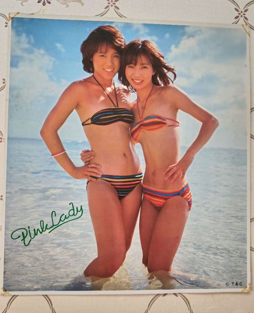 Pink Lady ポスター（パネル） 3枚セット