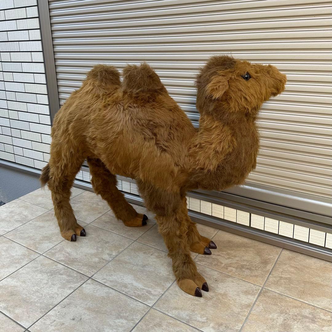 【希少】ラクダのオブジェ（訳あり）　置き物　インテリア　【茨城県つくば市】