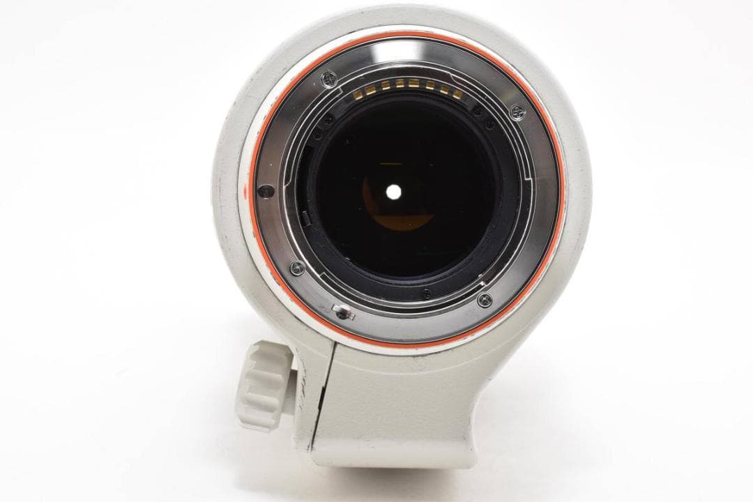 ソニー SONY 70-200mm F2.8 SSM SAL70200G