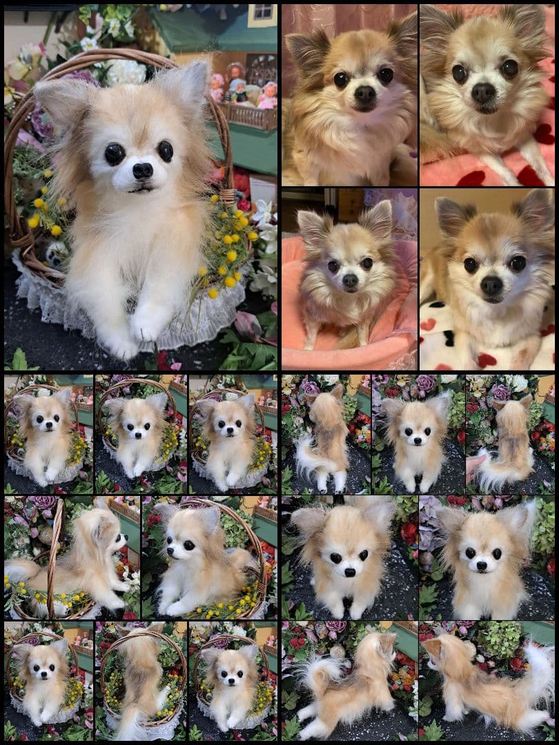 うちの子オーダー受付中♥️ チワワ　リアル　実物大　ぬいぐるみ　カズコオガワ