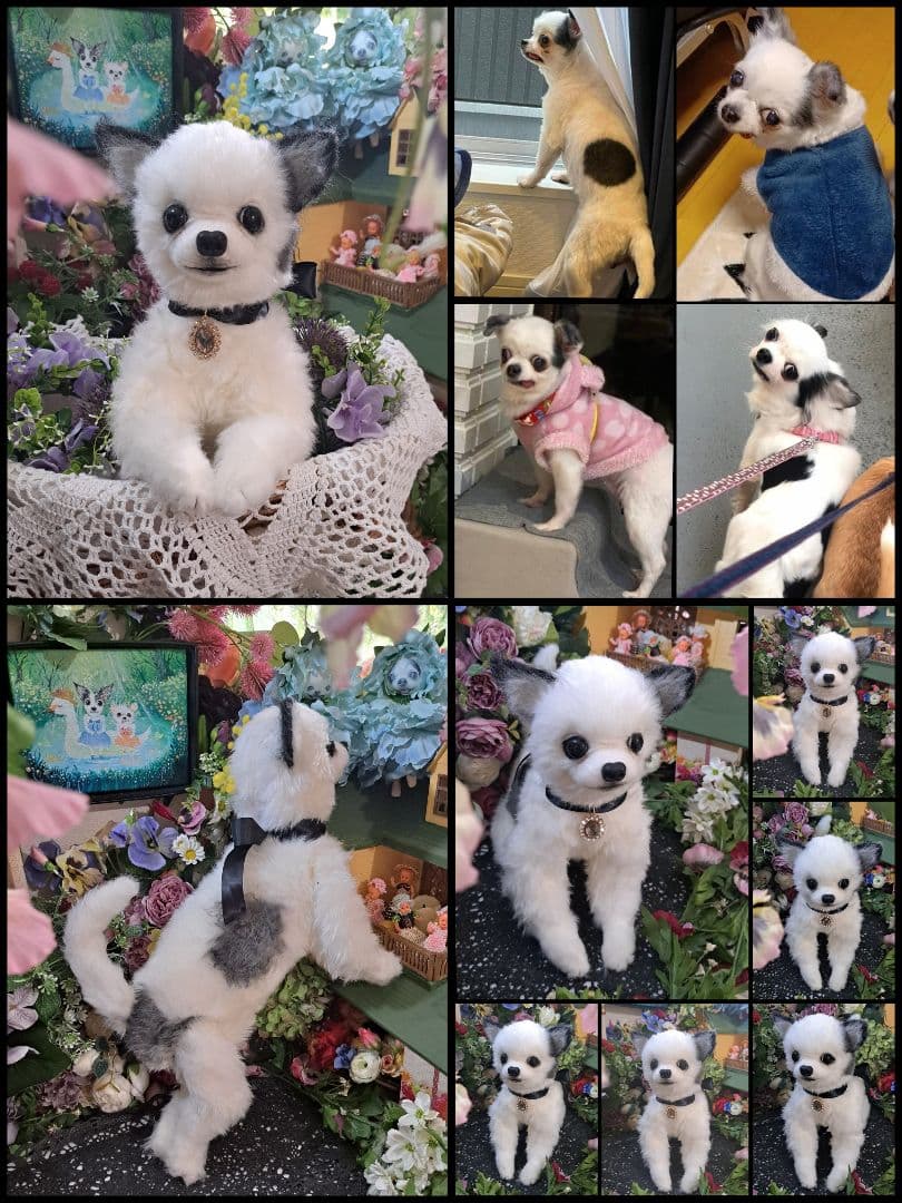 うちの子オーダー受付中♥️ チワワ　リアル　実物大　ぬいぐるみ　カズコオガワ